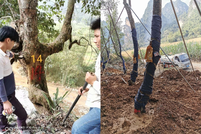 首页| G22恒峰集团中国官方网站